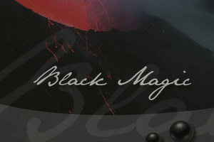 Шторы плиссе BLACK MAGIC