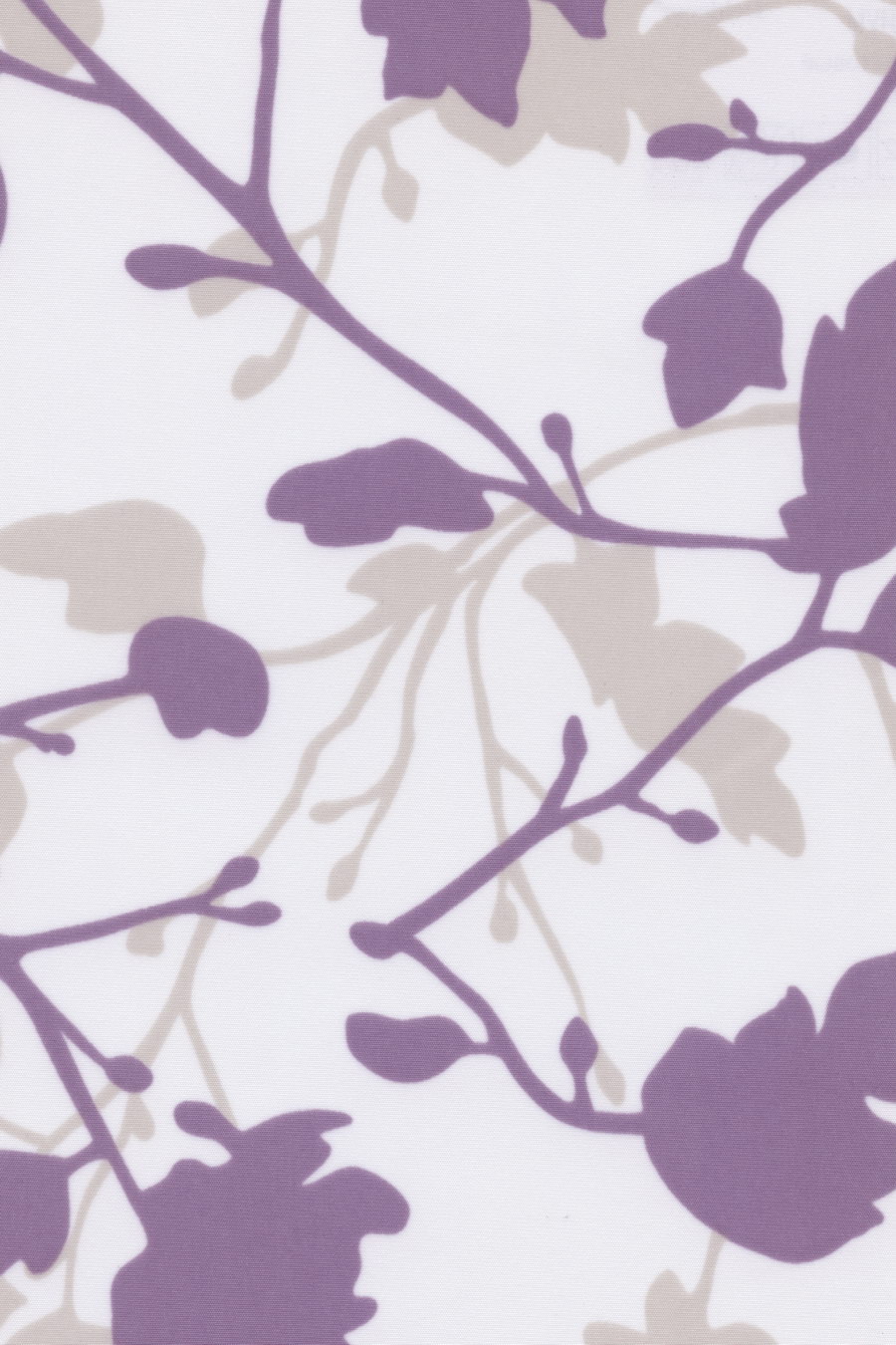 фиолетовый allium 22553