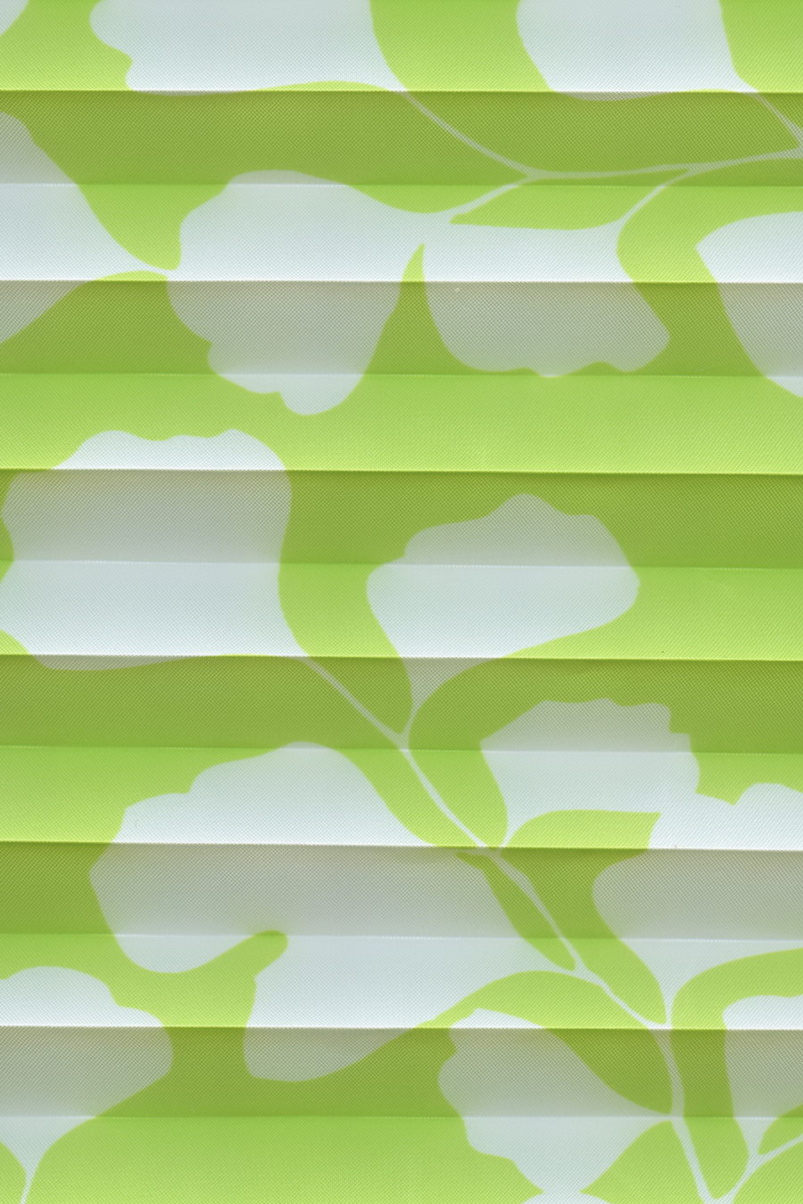 Lime AIDA GINKGO 4313