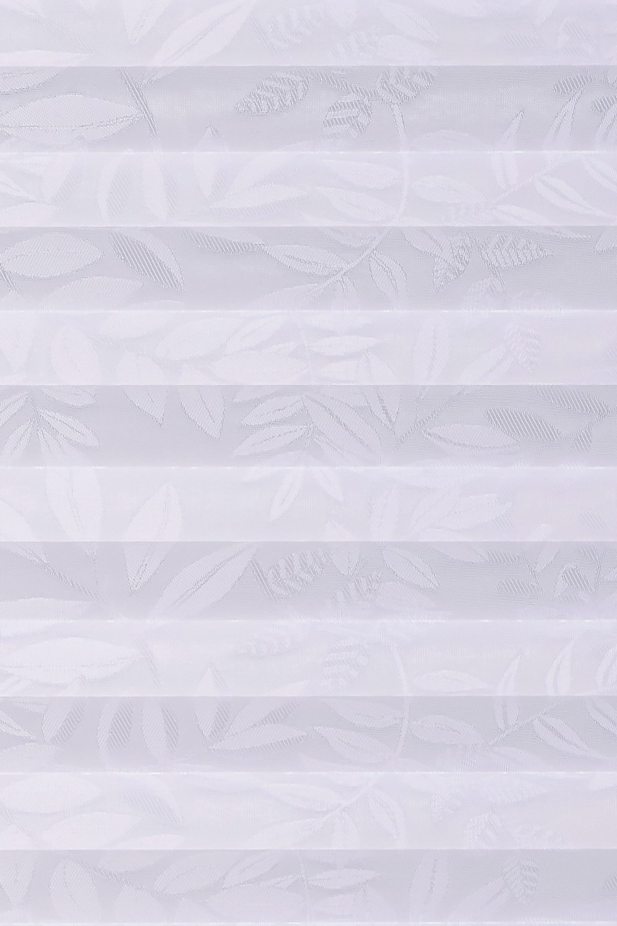 White SAMOA 0001