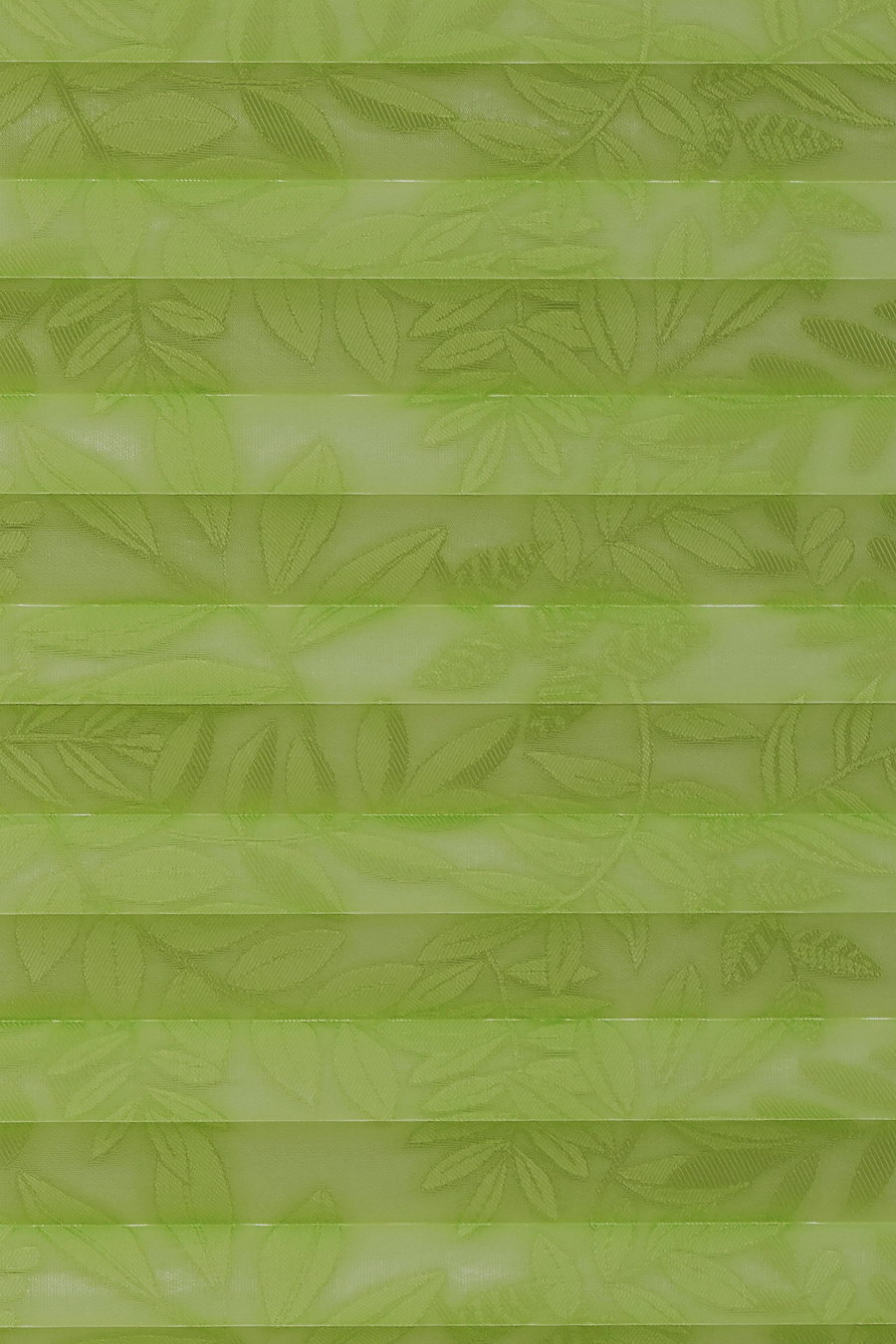Green SAMOA 0002