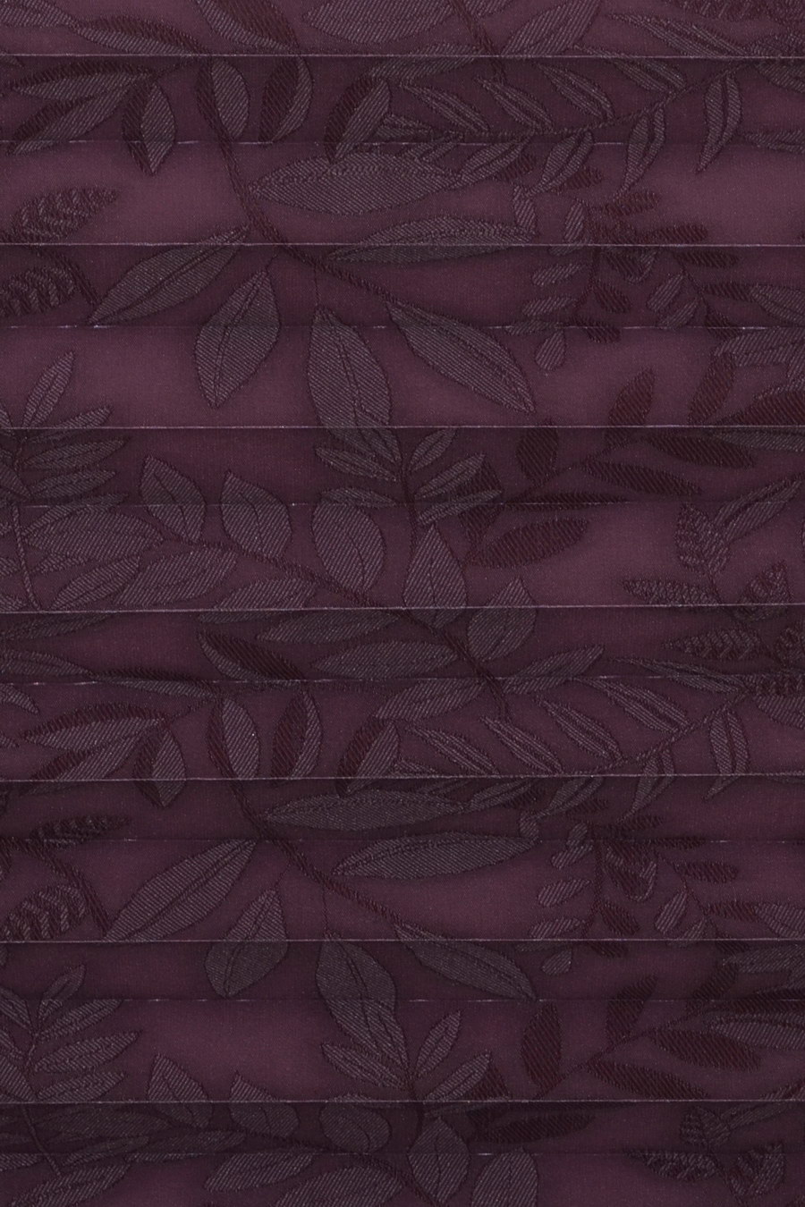 Purple SAMOA 0004