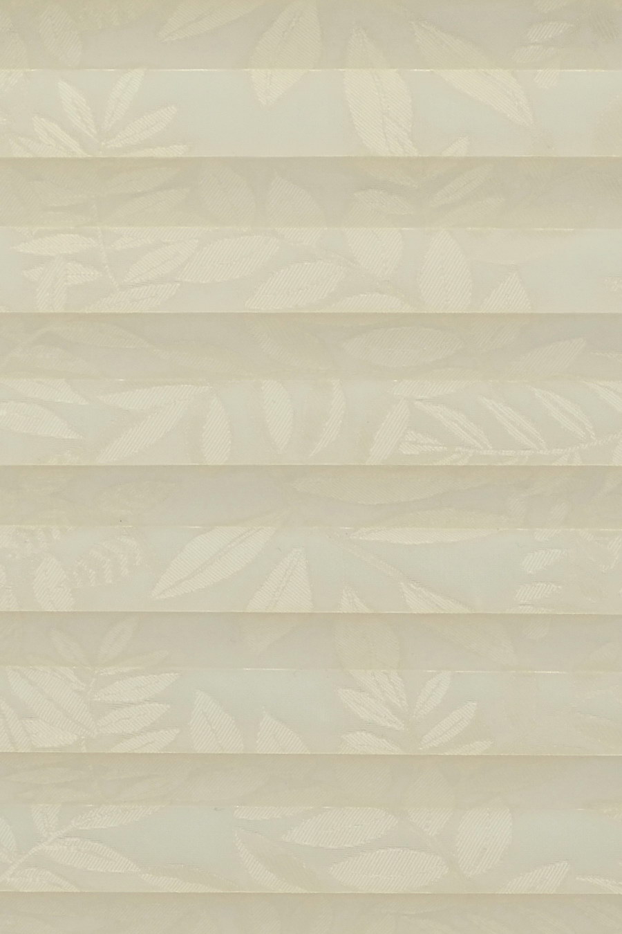 Ivory SAMOA 0005