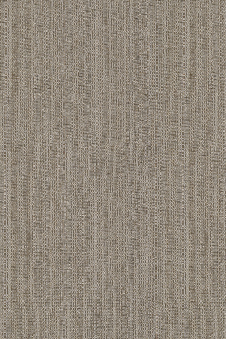 Crudo RULLI 050-81