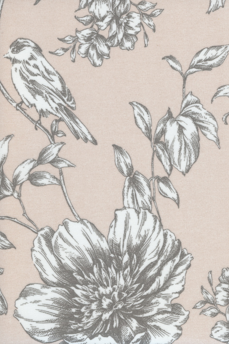 Розовый-серый Bloomy Bird 420687-5